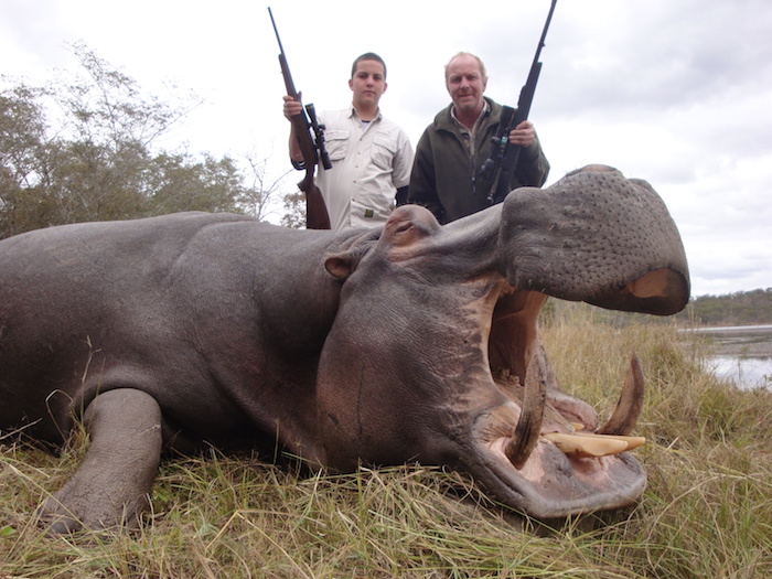 Hippo Trophy Gallery