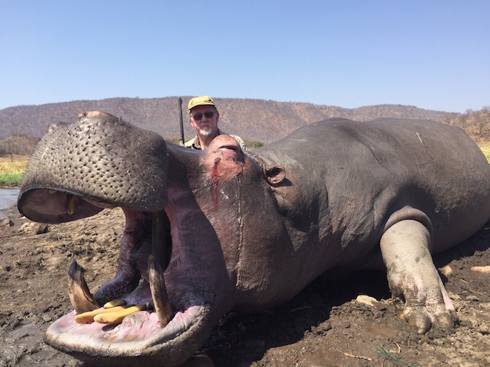 Hippo Trophy Gallery