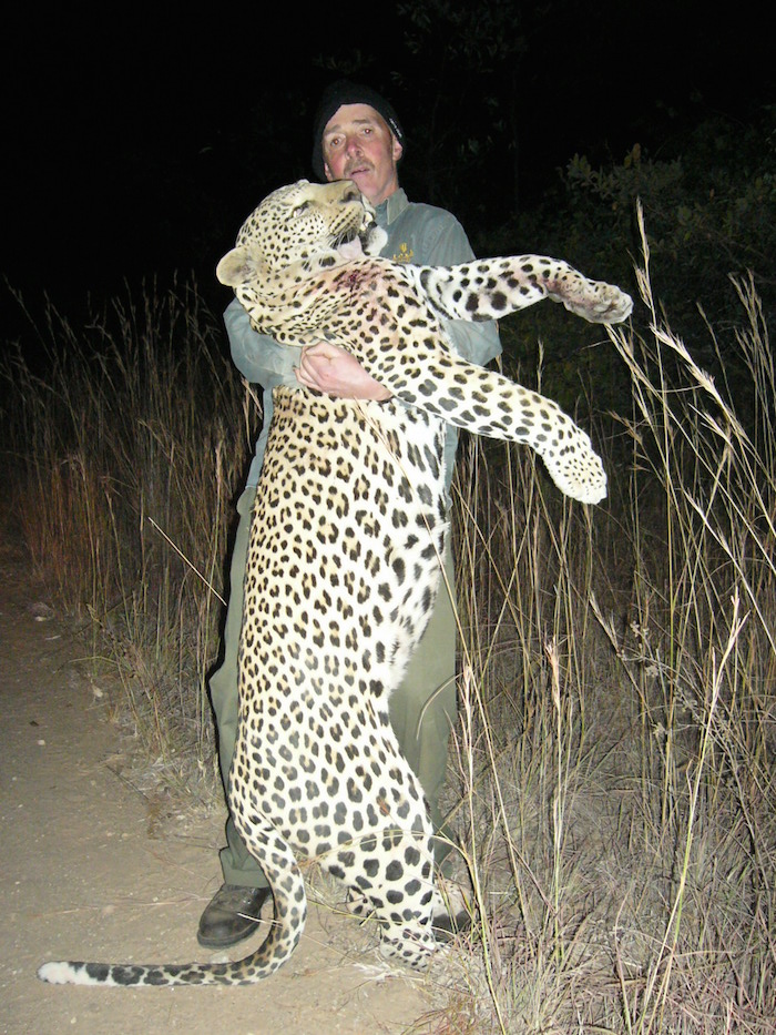 Leopard Trophy Gallery