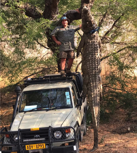 MS crocodile gallery